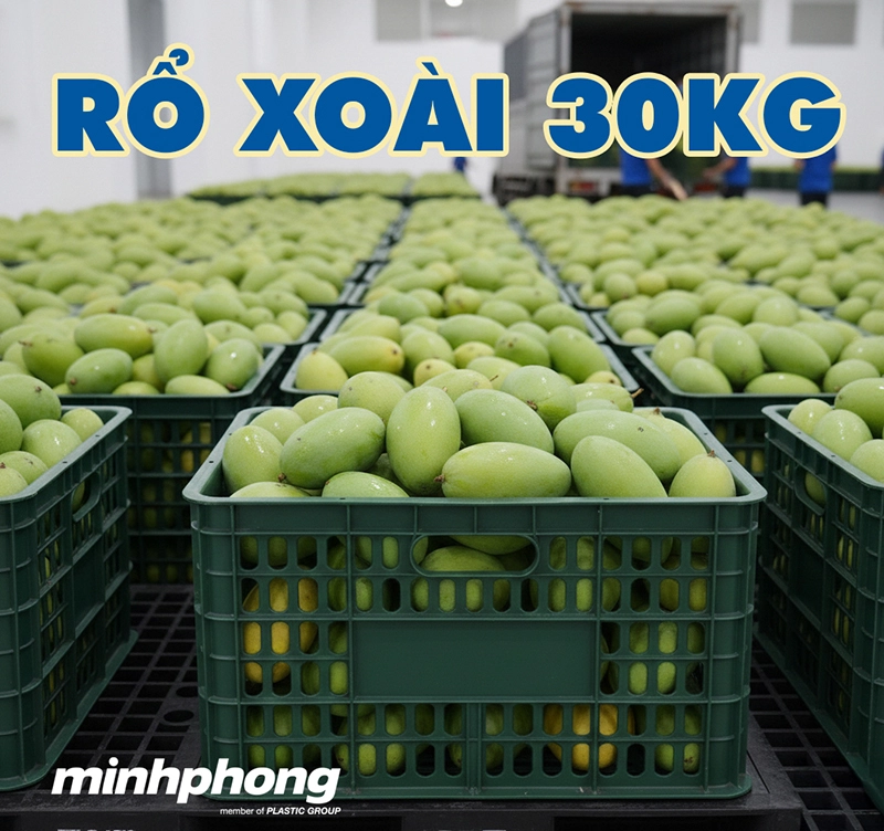 ro-xoai-minhphong-1.webp