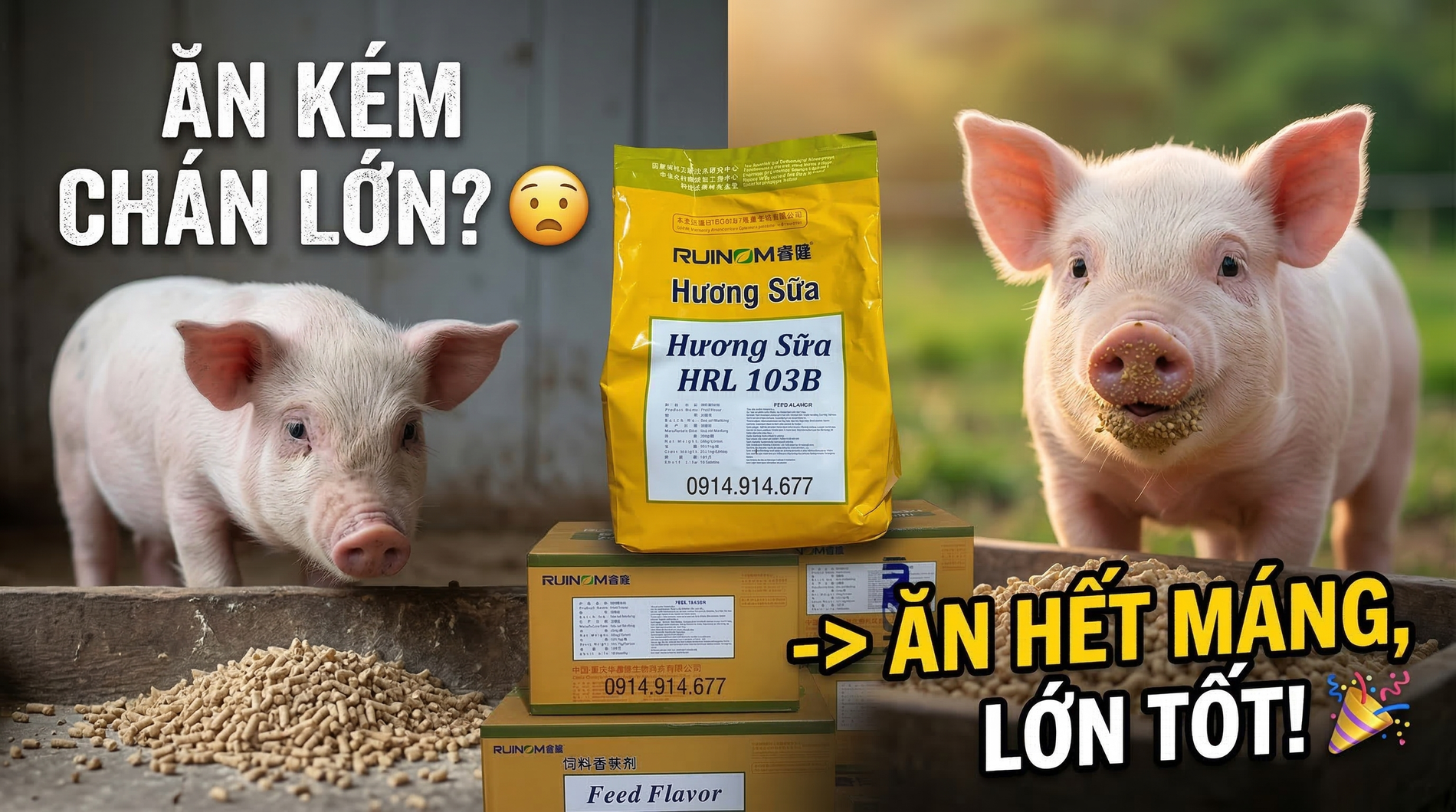 🚀Cá Lớn Nhanh, Heo Ăn Khỏe Đi Tìm Bí Quyết Vàng Từ Phụ Gia HCM!-1.webp