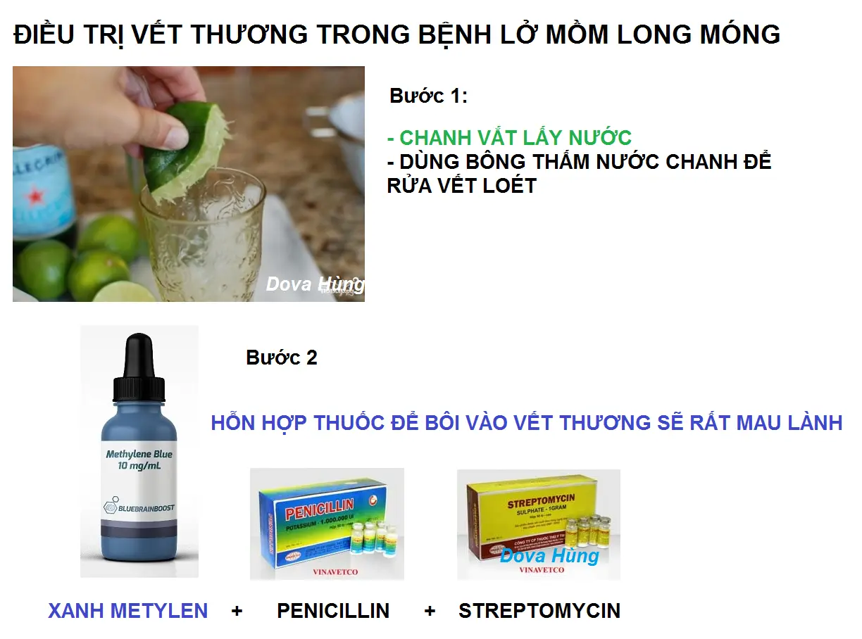 rửa vêt thương.webp