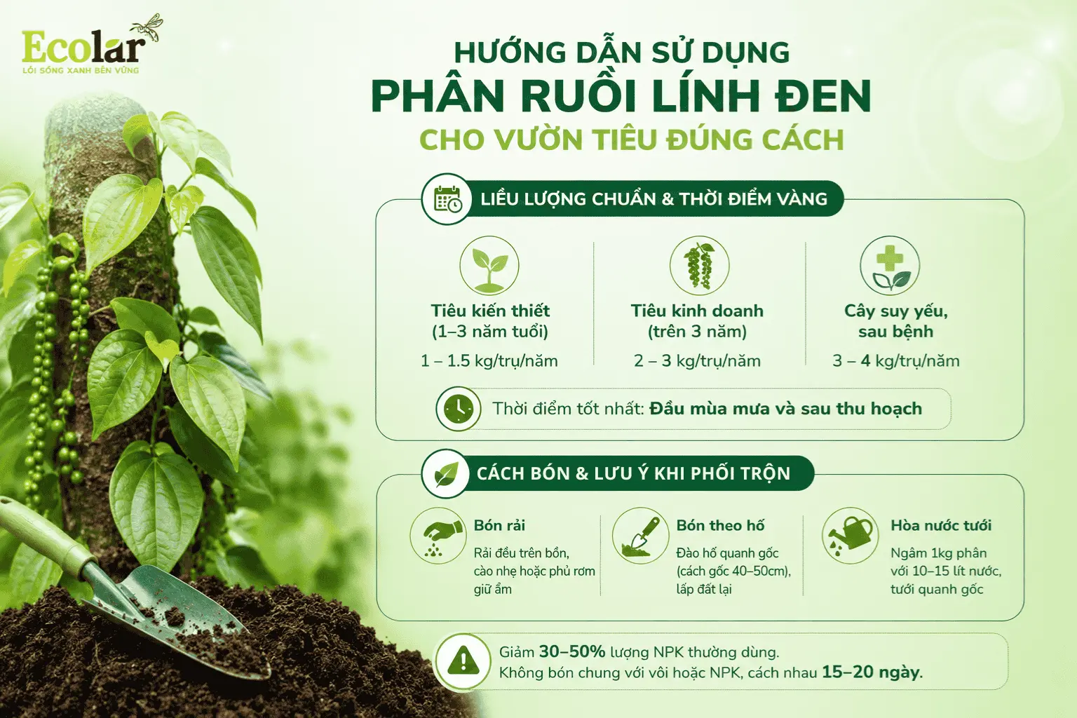 ruoi-linh-den-cho-vuon-tieu-dung-cach_5214ad4a55eb4fbf8c1236831cc3bccc (1).webp