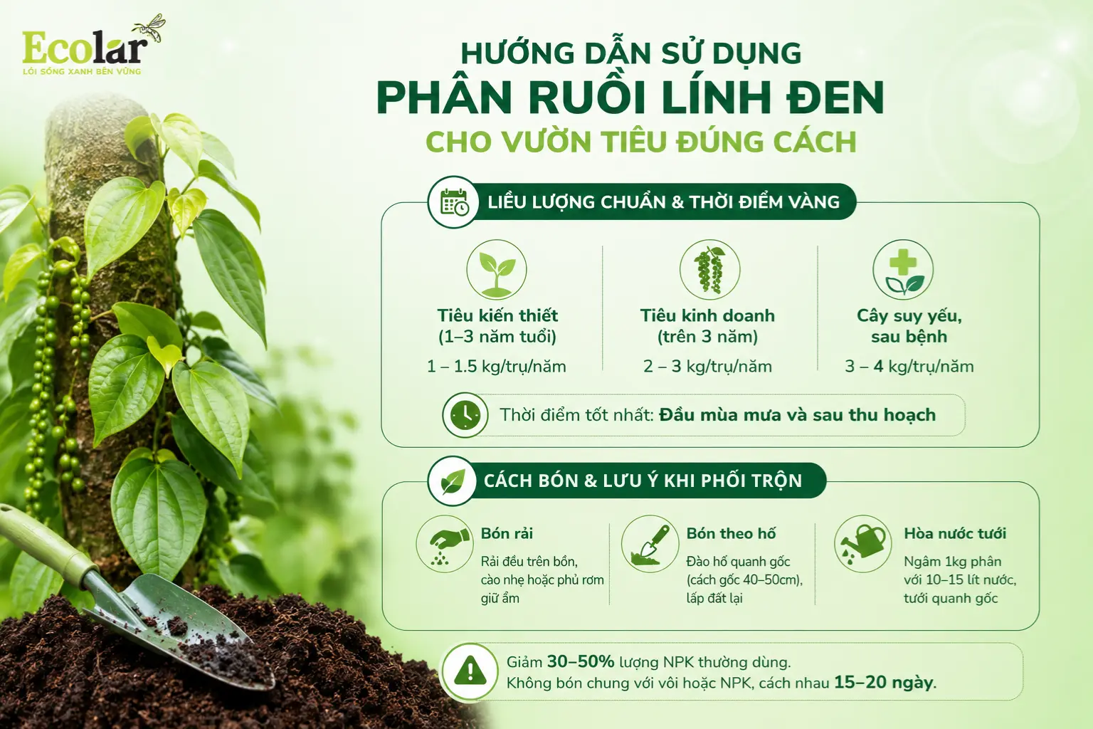 ruoi-linh-den-cho-vuon-tieu-dung-cach_5214ad4a55eb4fbf8c1236831cc3bccc.webp