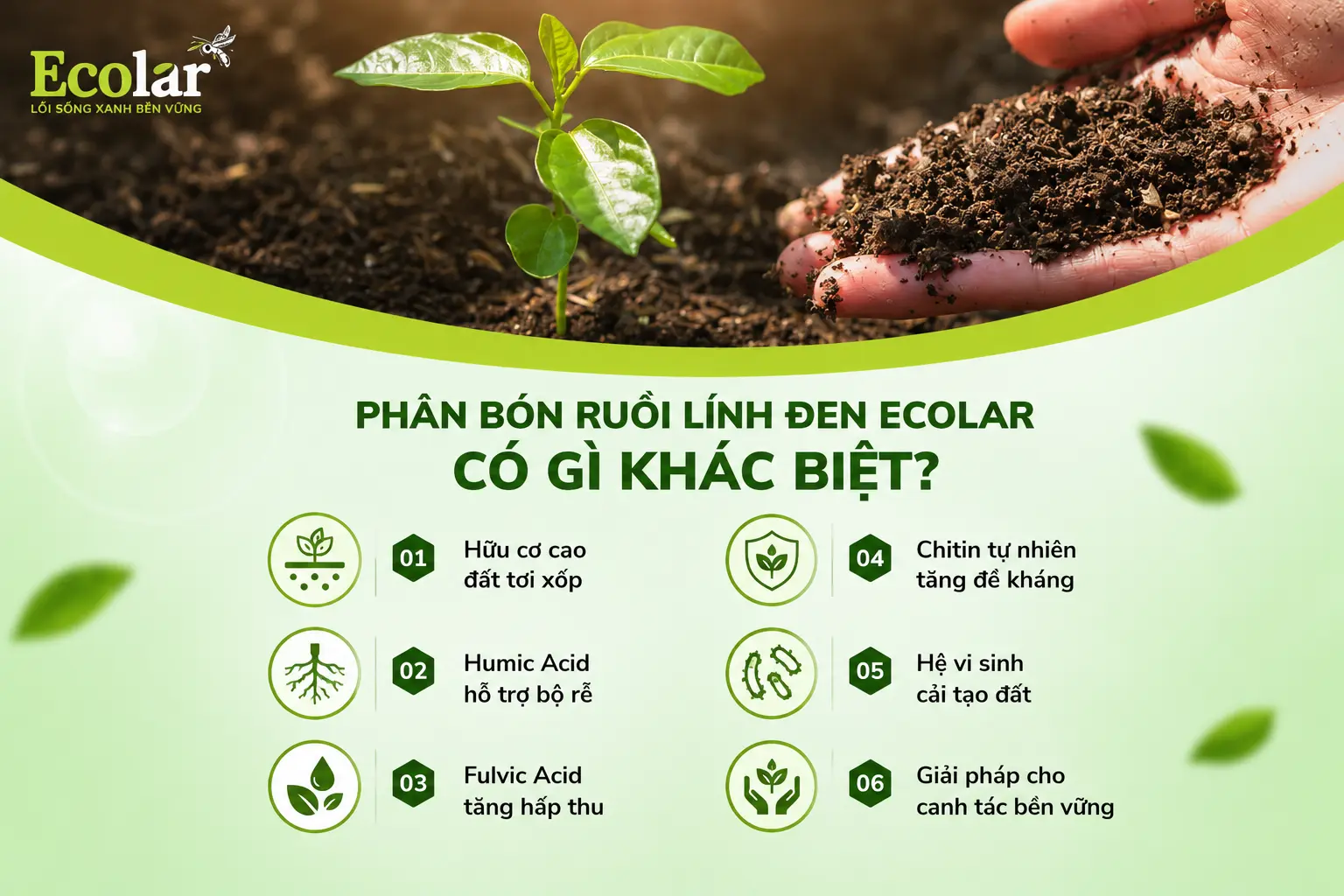 -ruoi-linh-den-ecolar-co-gi-khac-biet_39d255af0cfb4db2845ce07adb5af04a.webp