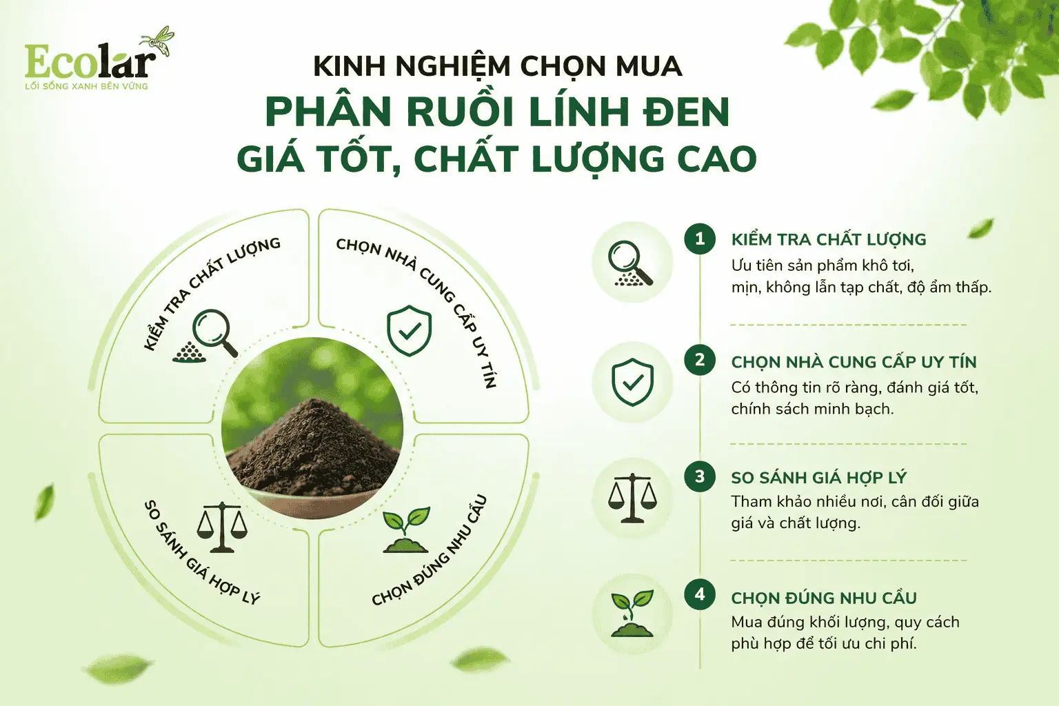 -ruoi-linh-den-gia-tot-chat-luong-cao_eaf05ee535864aa8b342dc2c09b49ec4 (1).webp