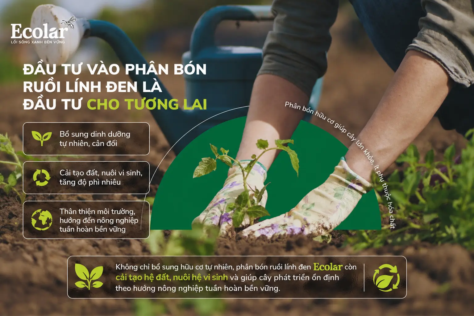 ruoi-linh-den-la-dau-tu-cho-tuong-lai_025927279c234f47a6c2e9eeb8ad6939.webp