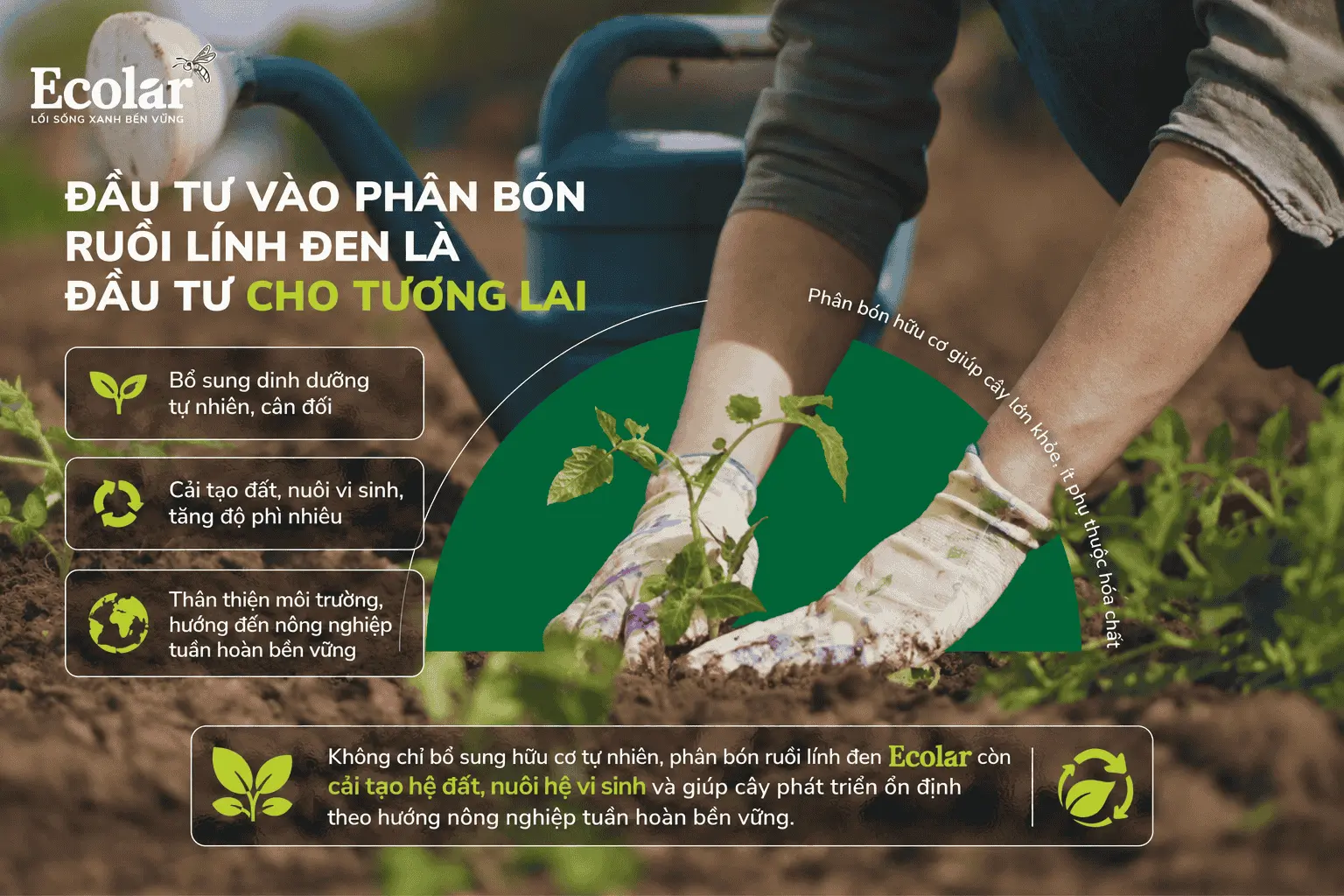 ruoi-linh-den-la-dau-tu-cho-tuong-lai_025927279c234f47a6c2e9eeb8ad6939.webp