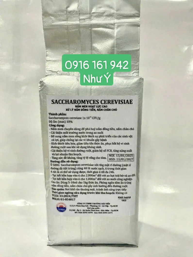 Saccharomycess tht.webp