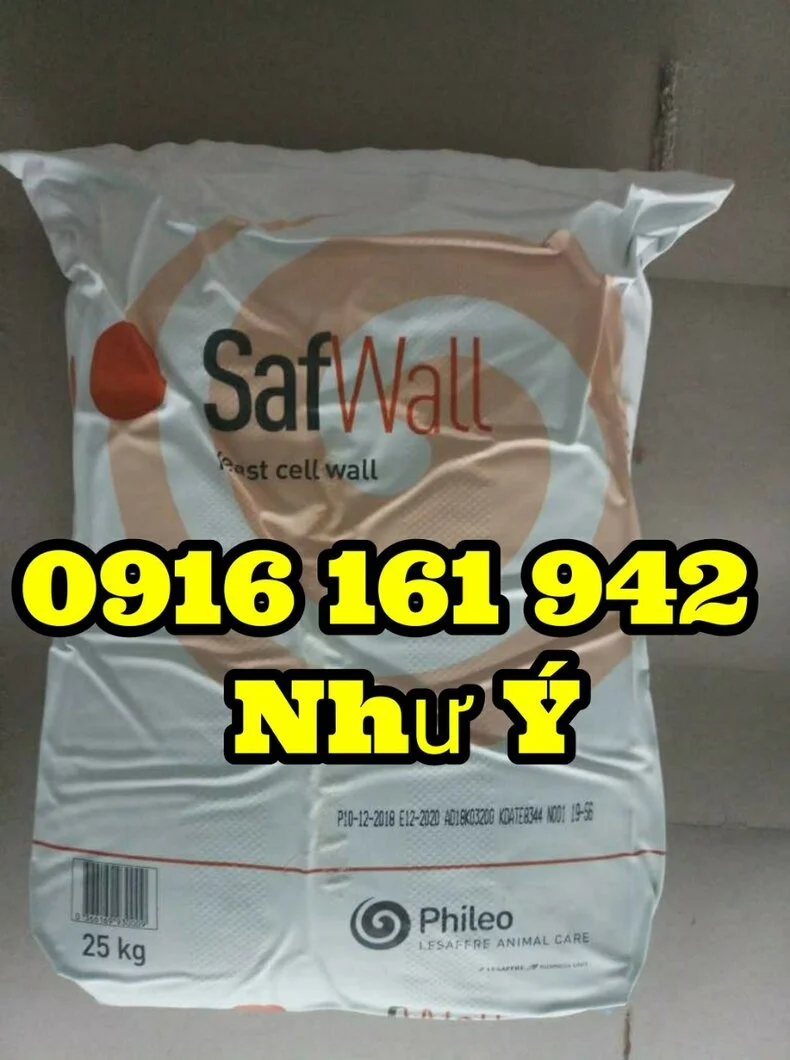 safwall n4.webp