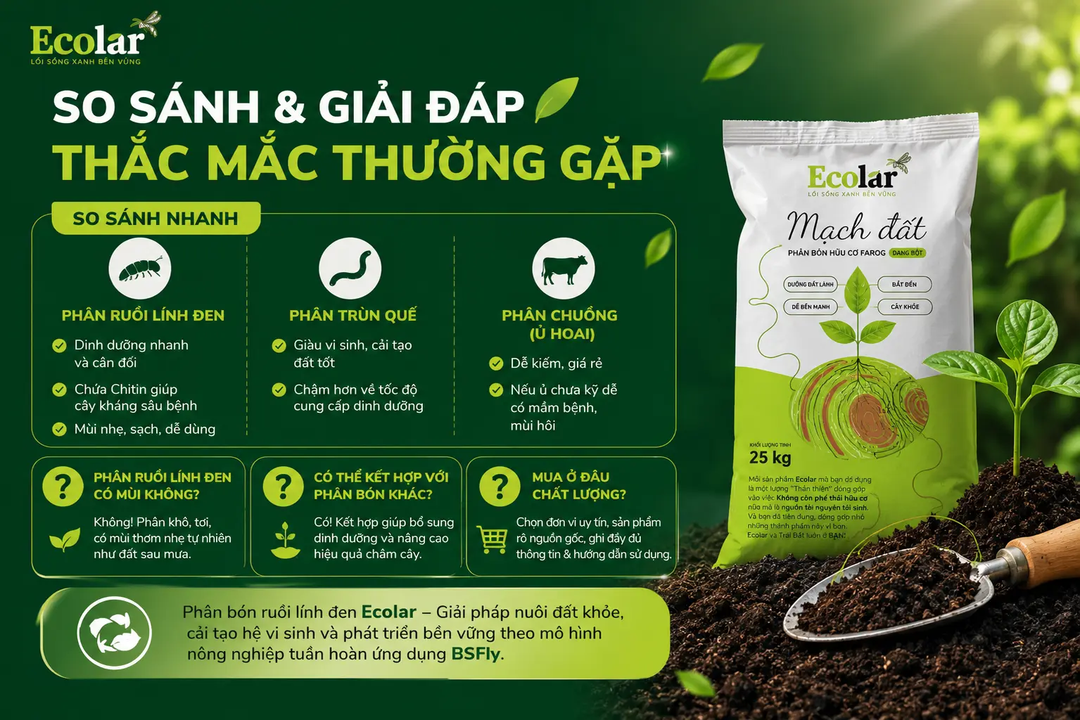 -sanh-va-giai-dap-thac-mac-thuong-gap_63abbbd9346e4051a21e5f963fc234d1.webp