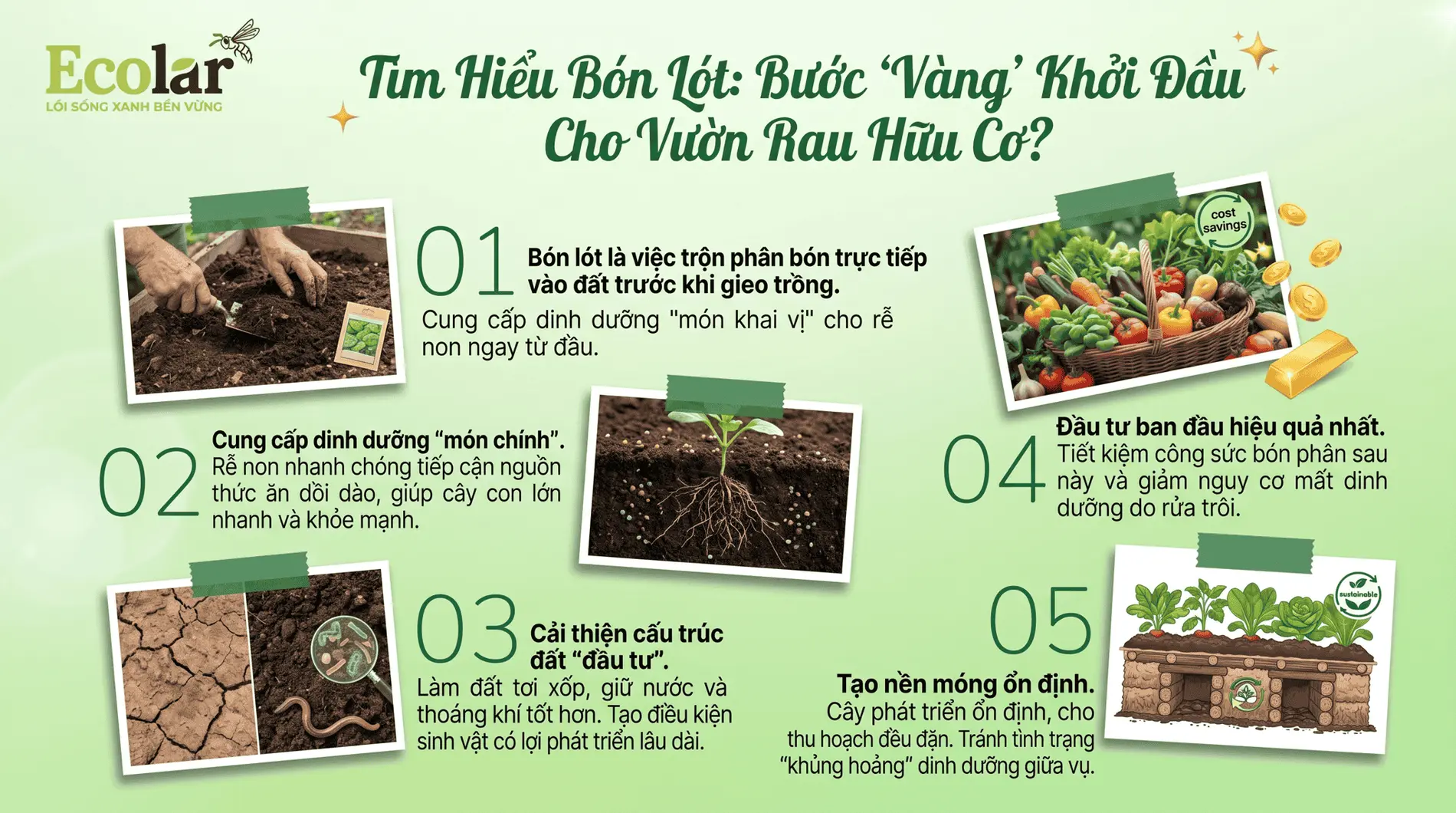 -sao-la-buoc-vang-cho-vuon-rau-huu-co_25e15e5fd1df41429a897e84628d22cd (1).webp