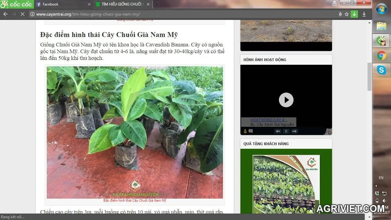 Screenshot 2017-08-14 09.00.20.webp