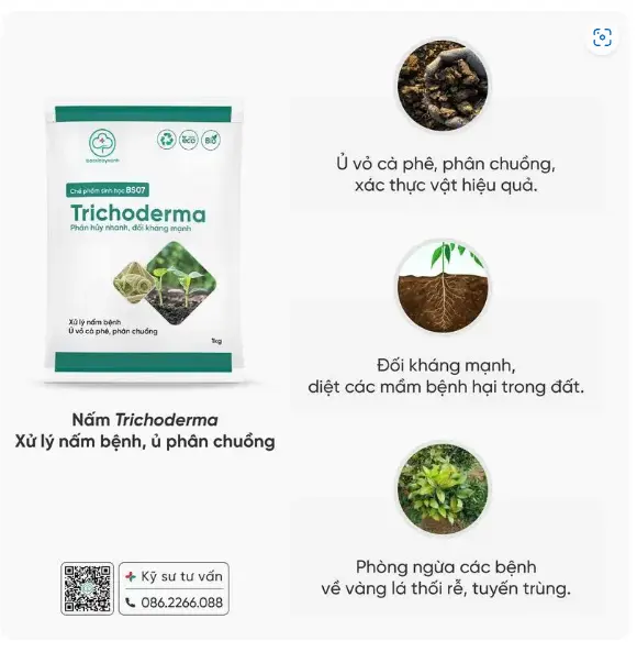 Screenshot 2024-11-29 154237.webp