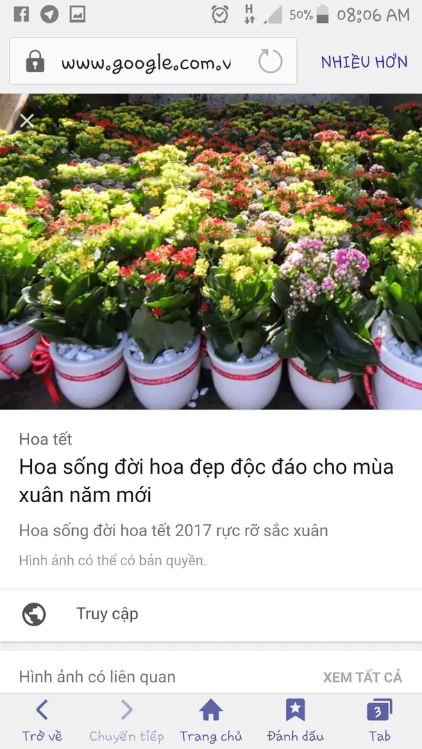 Ai biết chỗ nào có loại này khiong?