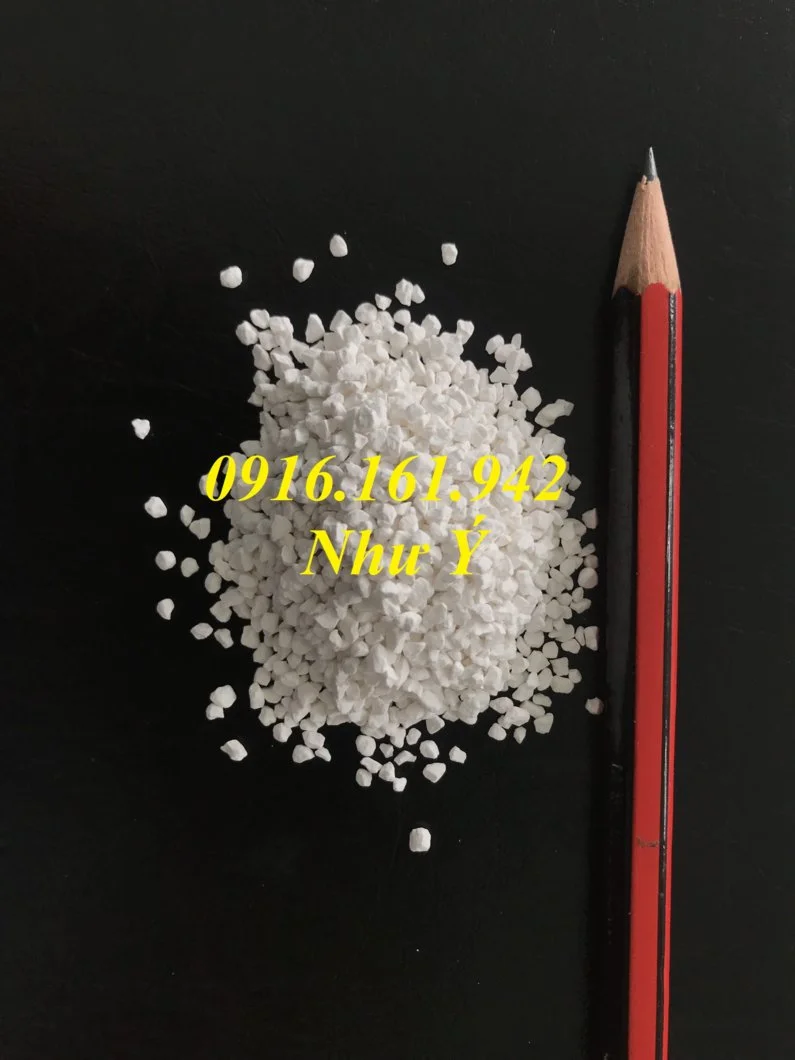 SDIC hạt lớn 6-2019.webp