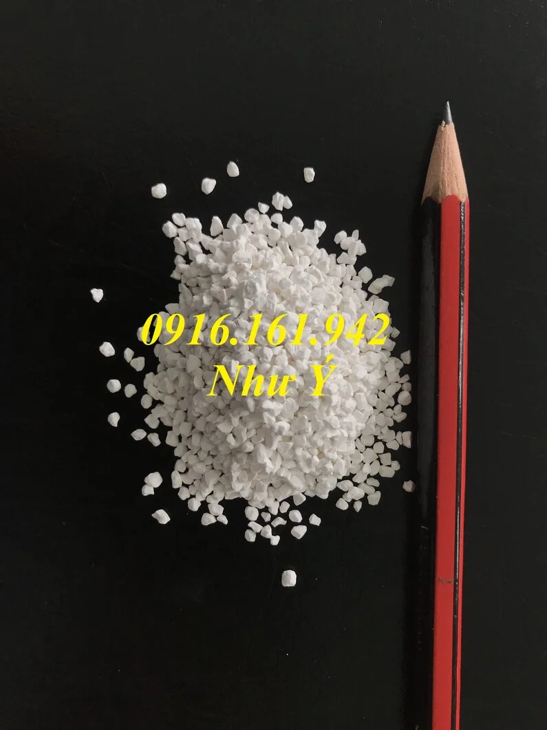 SDIC hạt lớn 6-2019.webp