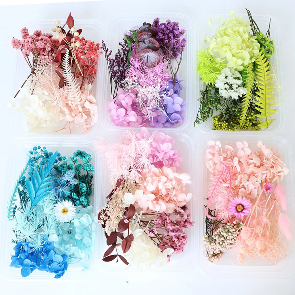 Các loại hoa khô mà bạn cần biết và các phân biệt hoa giả và hoa khô