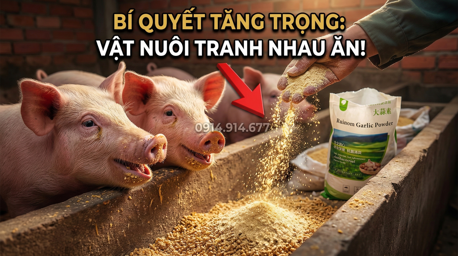 Sinh tố tỏi HRL 25% Ruinom Garlic Powder-3.webp