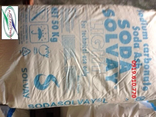 So đa ASH LIGHT.webp