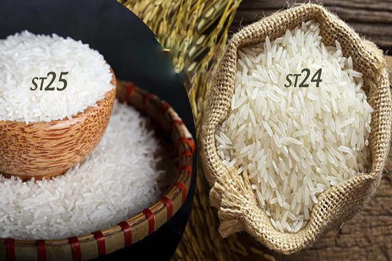 so-sanh-gao-st24-va-st25-3.jpg