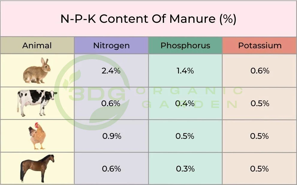 Công dụng Phân Thỏ
