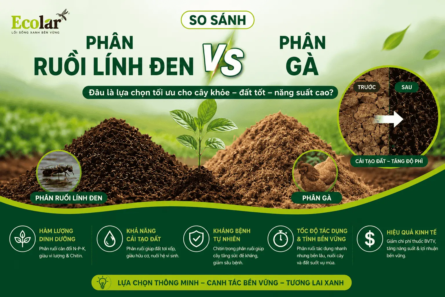 so-sanh-phan-ruoi-linh-den-va-phan-ga-nen-chon-loai-nao_884b018ee148430fa7758ce345606bb3.webp