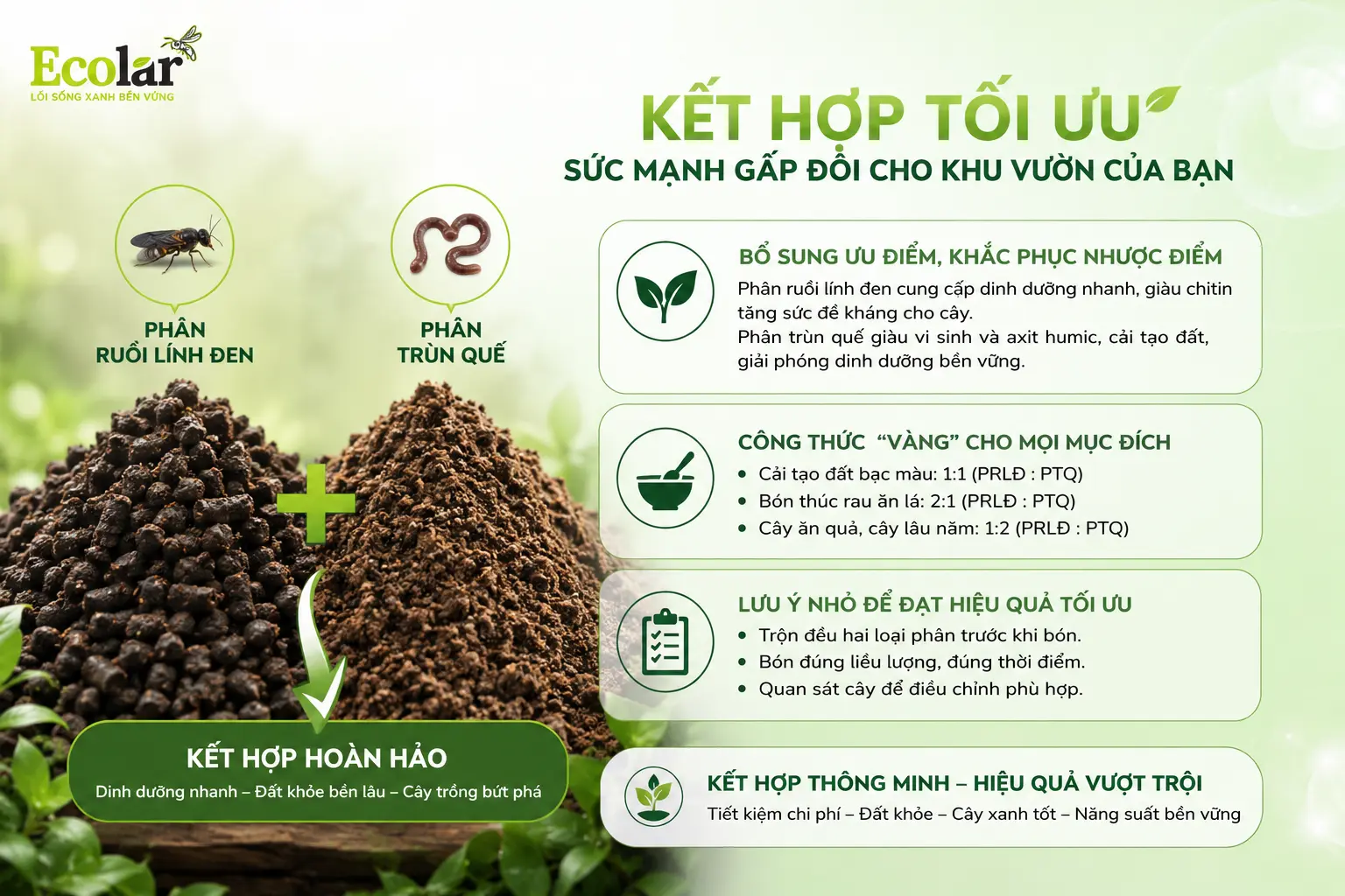 so-sanh-toan-dien-6-yeu-to-quyet-dinh_28ee69fb26b545029b4d7657e2c7e1cc.webp