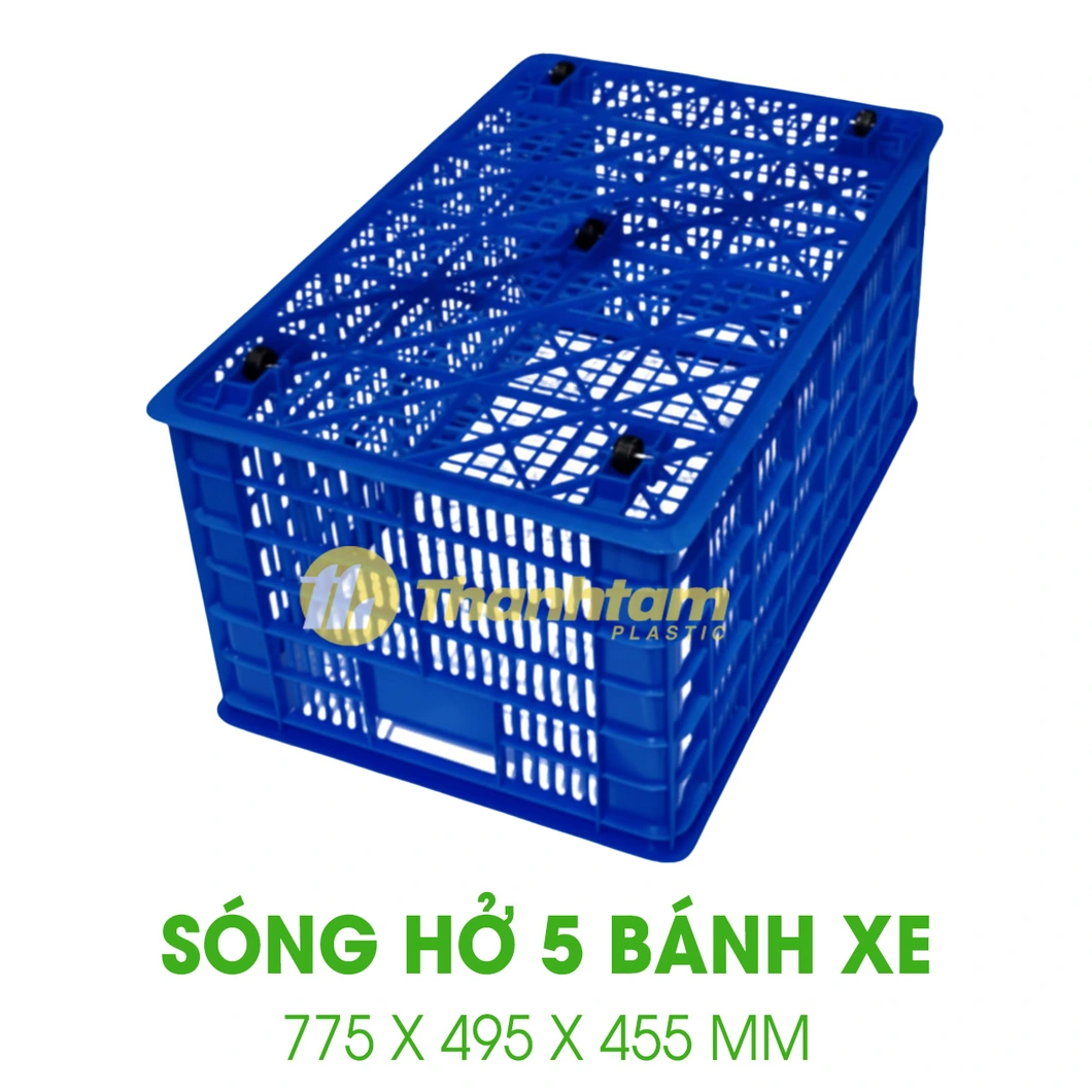 song-5banh-xe-4t5-duong-2.webp