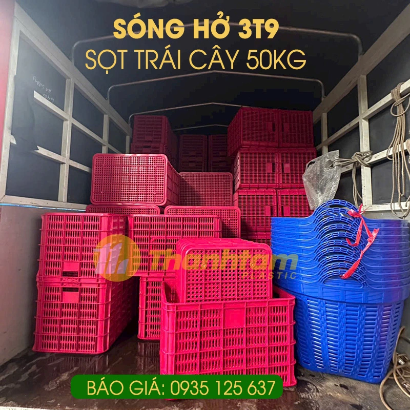 song-ho-3t9-2.webp