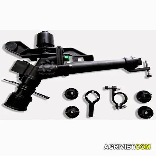 Sung tuoi dai loan.webp