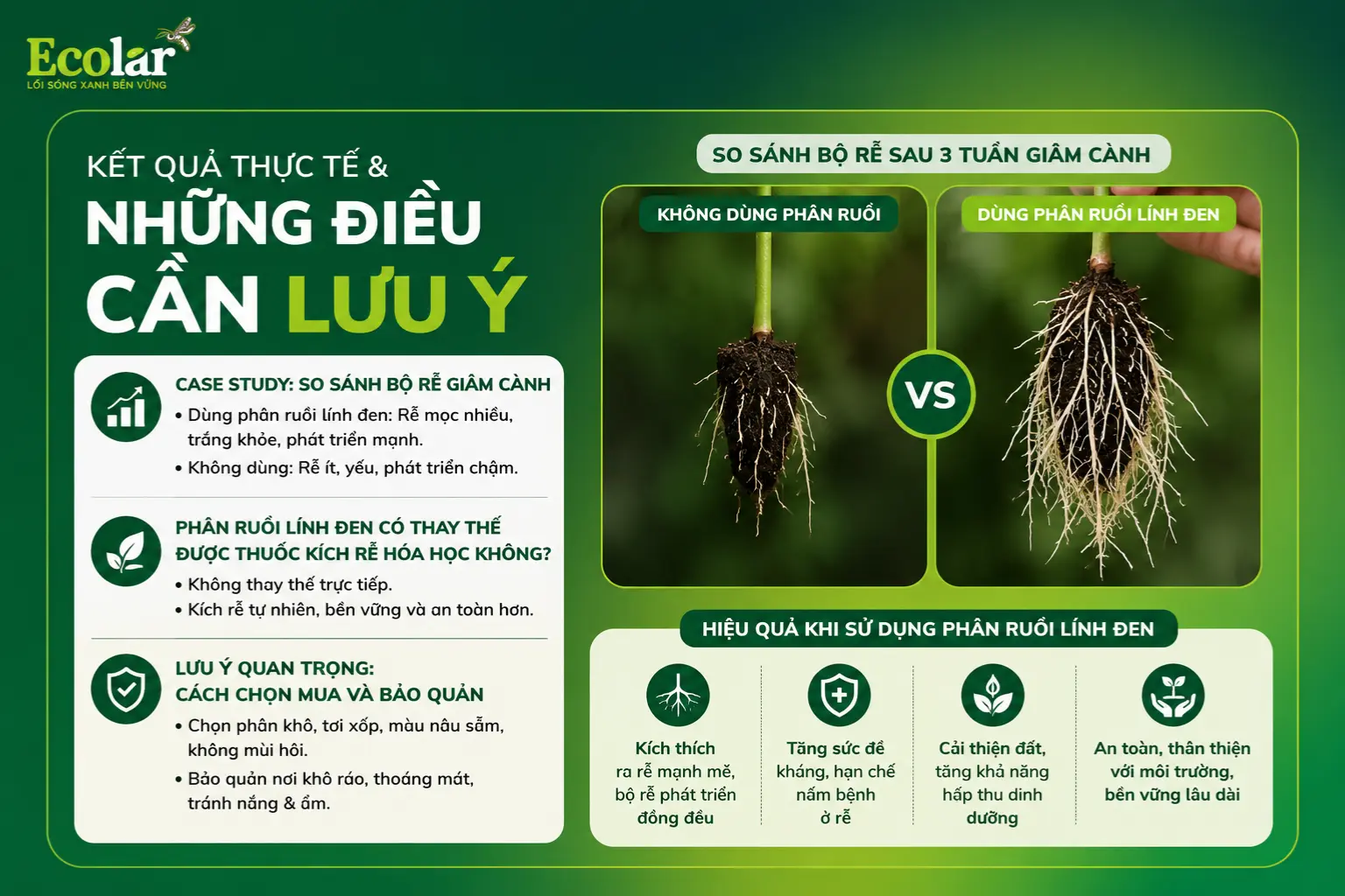 t-qua-thuc-te-va-nhung-dieu-can-luu-y_327152dbaedc4242a46e422d6ca90d6d.webp