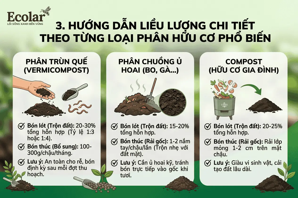 t-theo-tung-loai-phan-huu-co-pho-bien_303a4f8eafca405caf4a7628d654e915 (1).webp