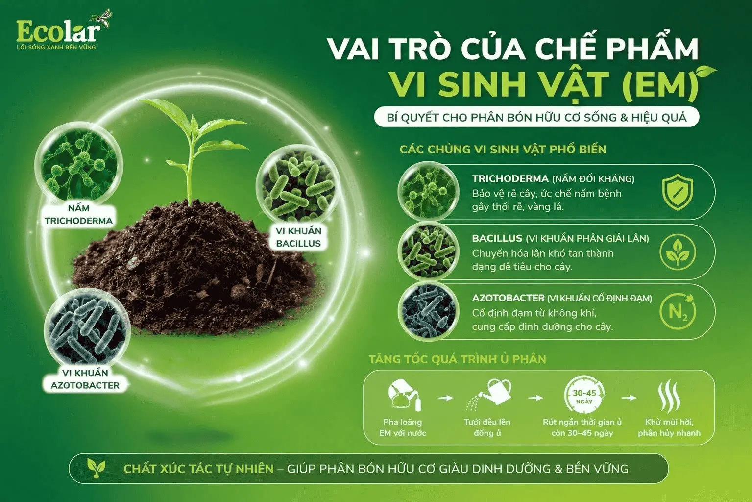 t-vai-tro-cua-che-pham-vi-sinh-vat-em_75894ae3378a4b9baa4365b03ff5dee7 (1).webp