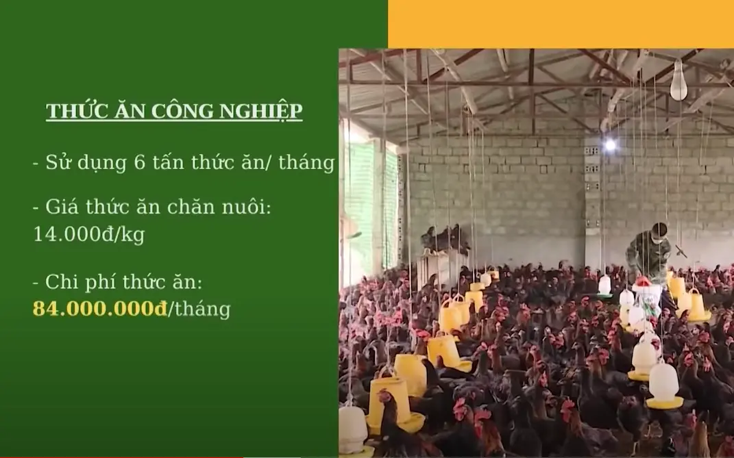 TA công nghiệp.webp