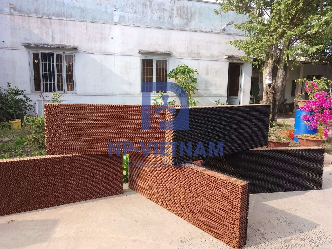 tam lam mat long an.webp