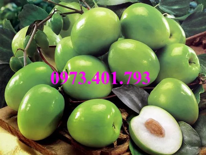 táo dai loan2_result.webp