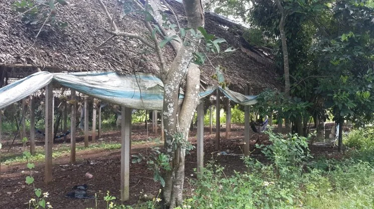 2 Ha đất đồi hỗn hợp trong đó mặt bằng 1000m2, Ao 200m2 làm trang trại gì?