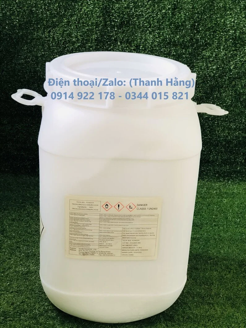 ^^^^^^^^tcca bột.webp