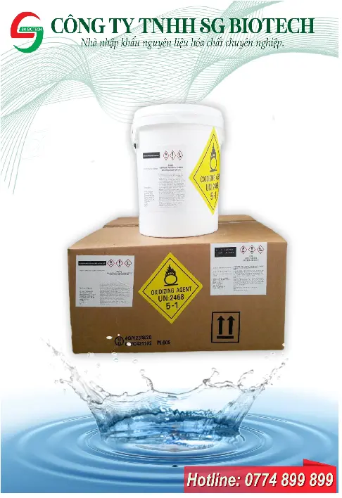 tcca viên 2g 1.webp