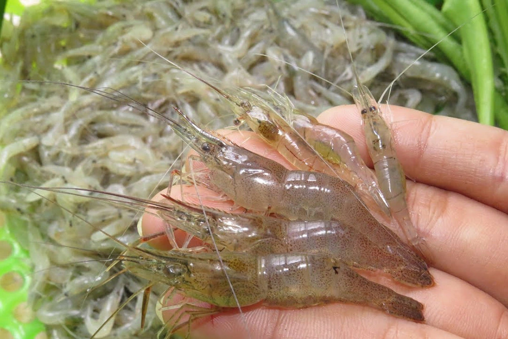 tep-riu_1647242863 (1).jpg