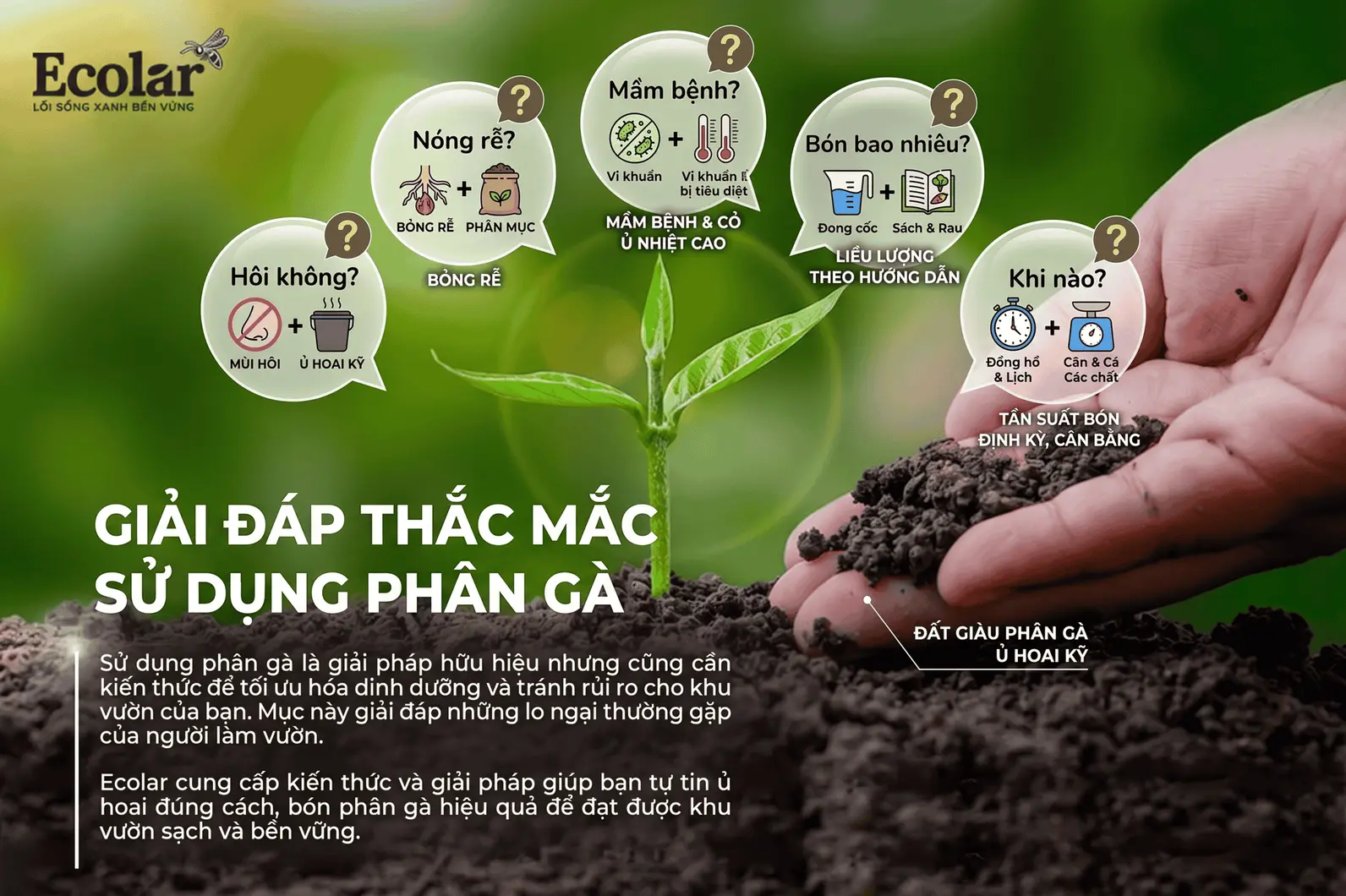 -thac-mac-thuong-gap-khi-dung-phan-ga_7626e67d83ed431886c991a05a618c82 (1).webp