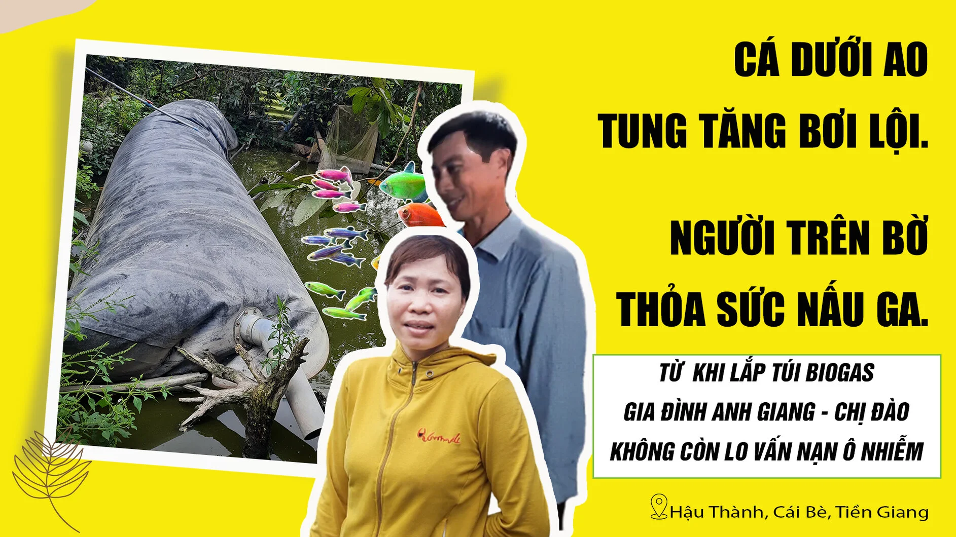 Từ khi lắp túi biogas Cá dưới ao tung tăng bơi lội, người trên bờ thỏa sức nấu ga.