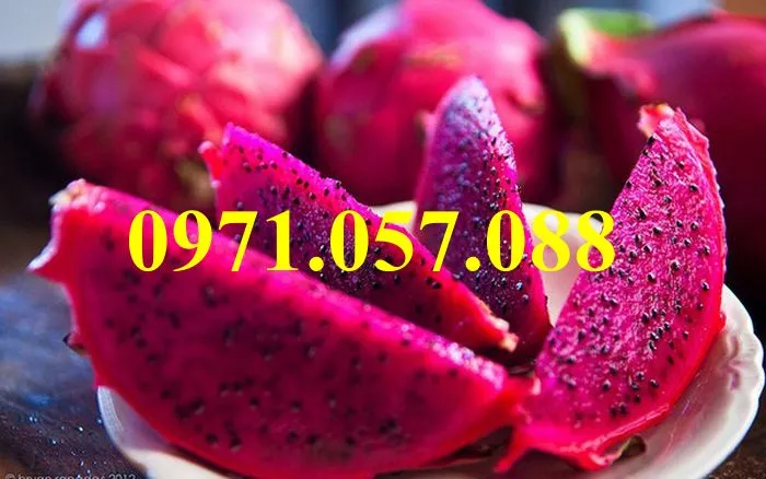 thanh long ruột đỏ_result.webp