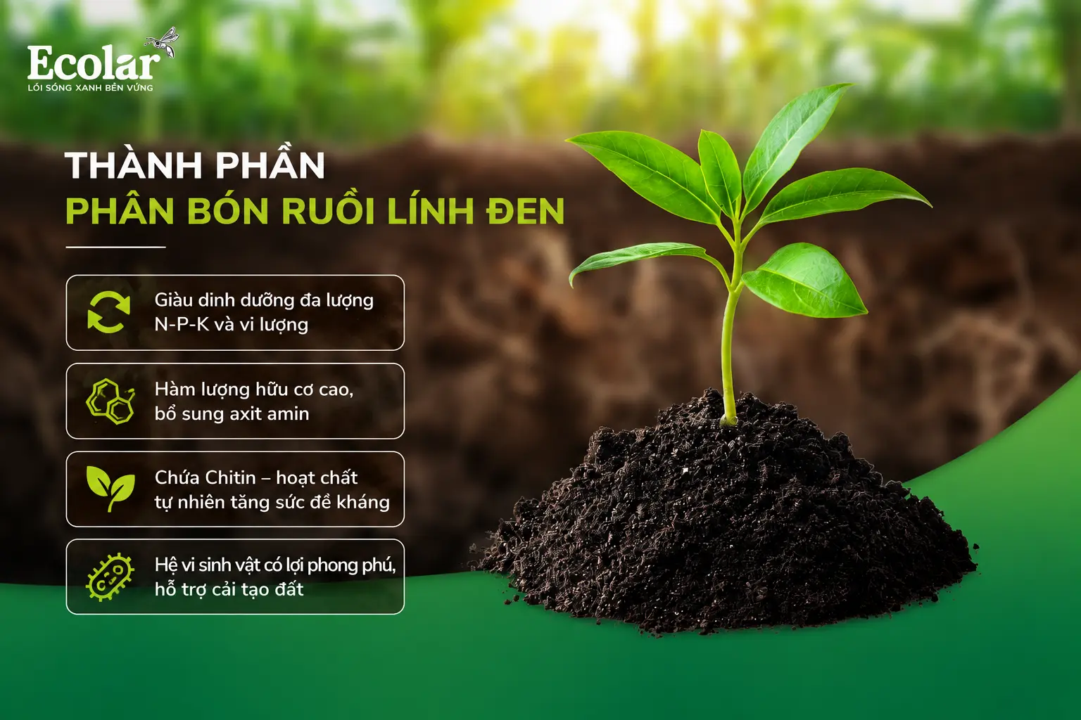 thanh-phan-phan-bon-ruoi-linh-den-va-co-che-cai-tao-dat_7868861f80074f089a1143a40759474d.webp
