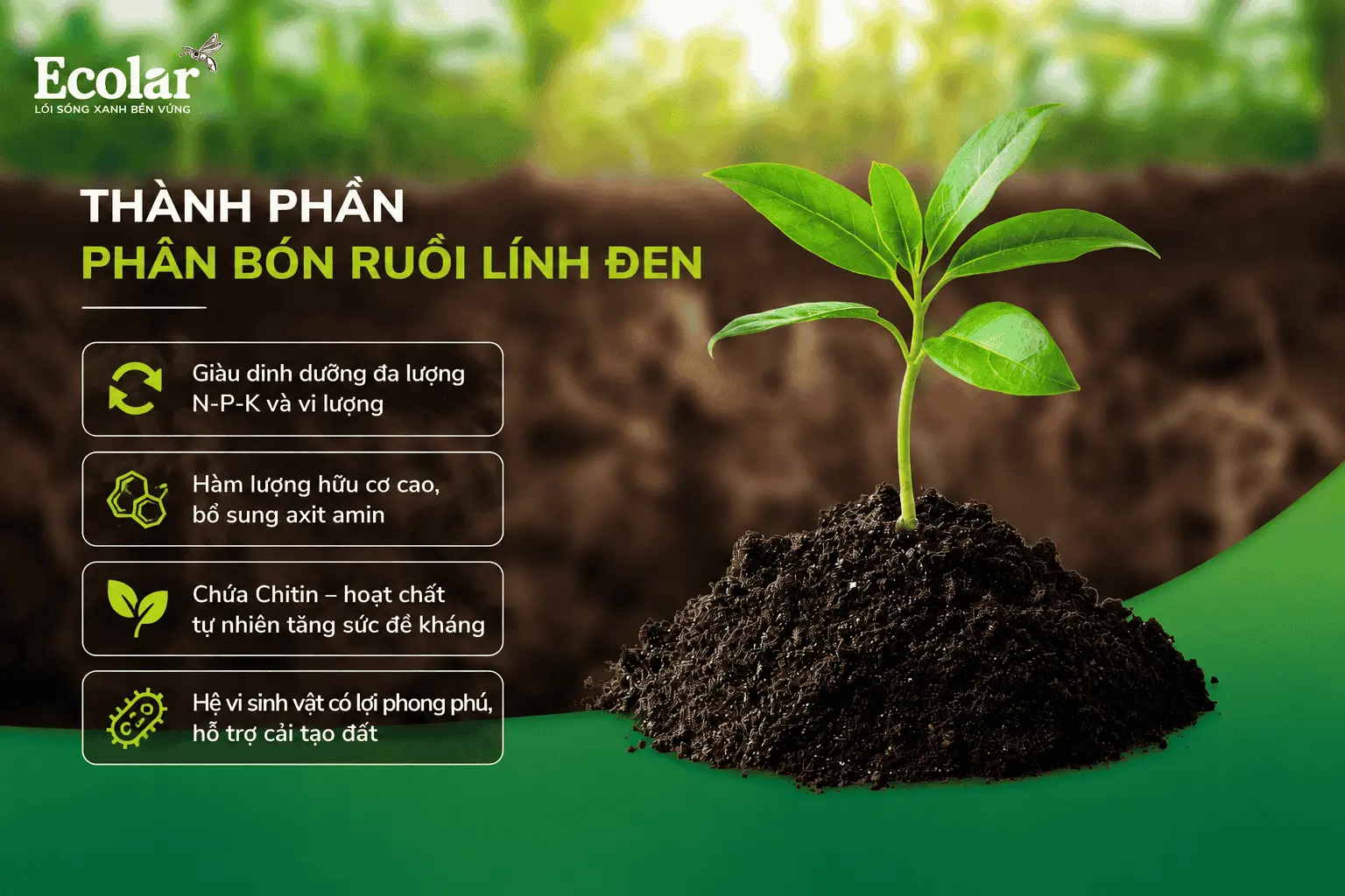thanh-phan-phan-bon-ruoi-linh-den-va-co-che-cai-tao-dat_7868861f80074f089a1143a40759474d.webp