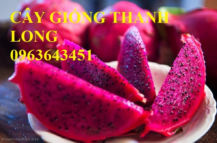 thanhlong-1435825834109.webp
