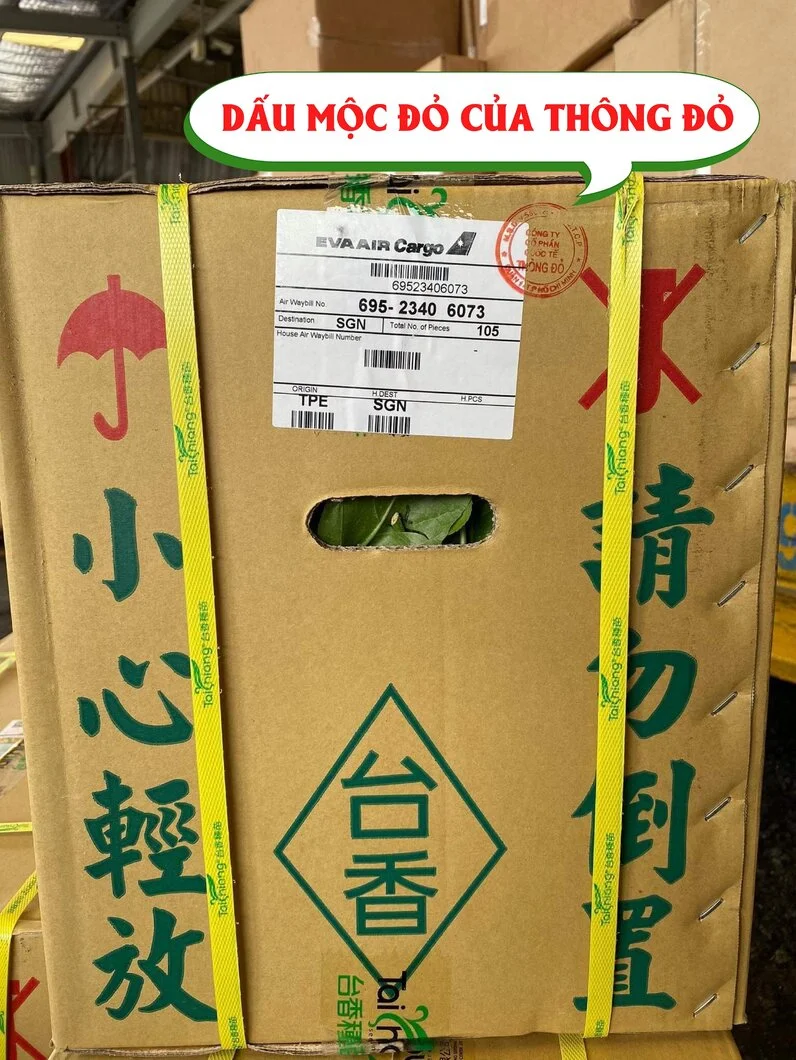 thao1-01 - Copy.webp