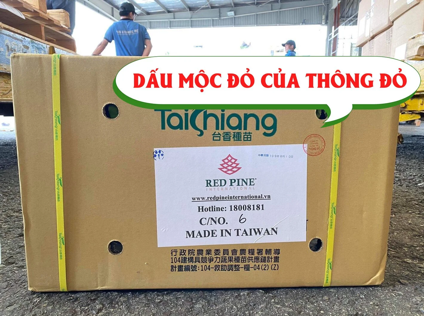 thao3-01 - Copy.webp