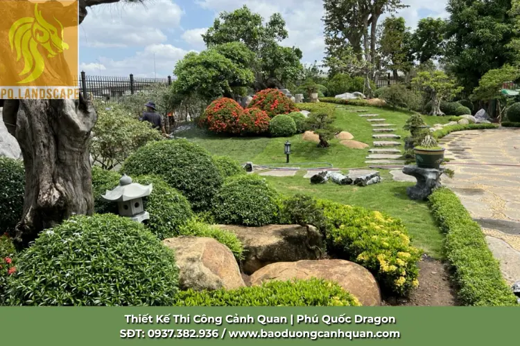 thi-cong-canh-quan-san-vuon-tphcm.jpg.webp