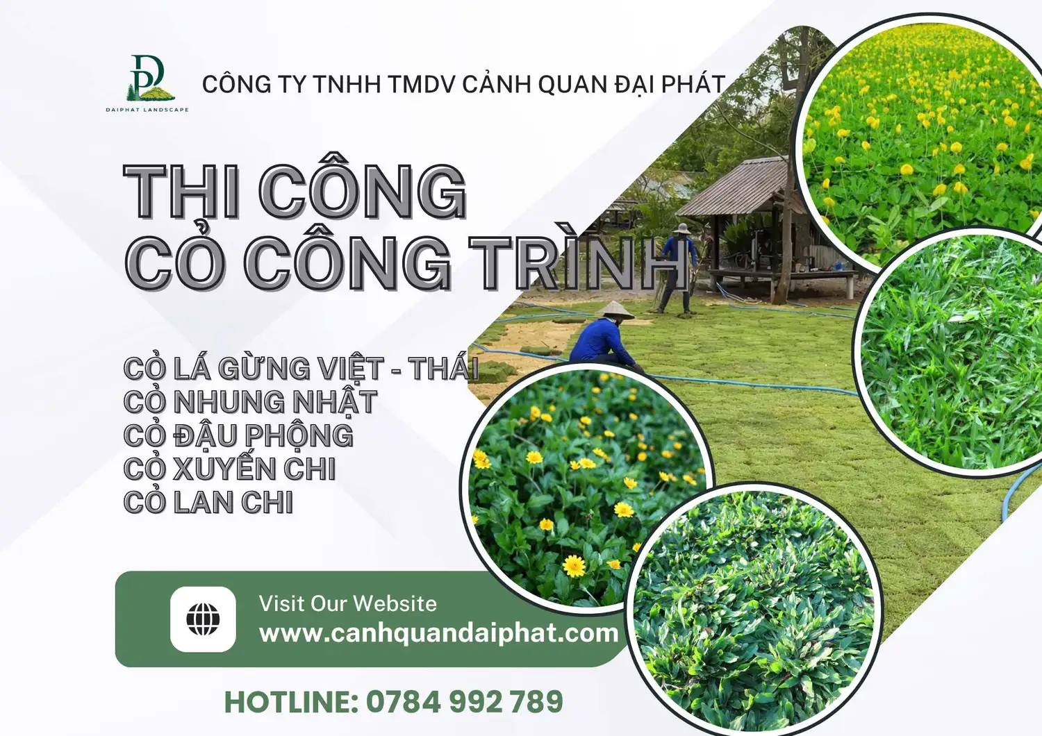thi công cỏ lá gừng cỏ nhung nhật 170426 1.webp