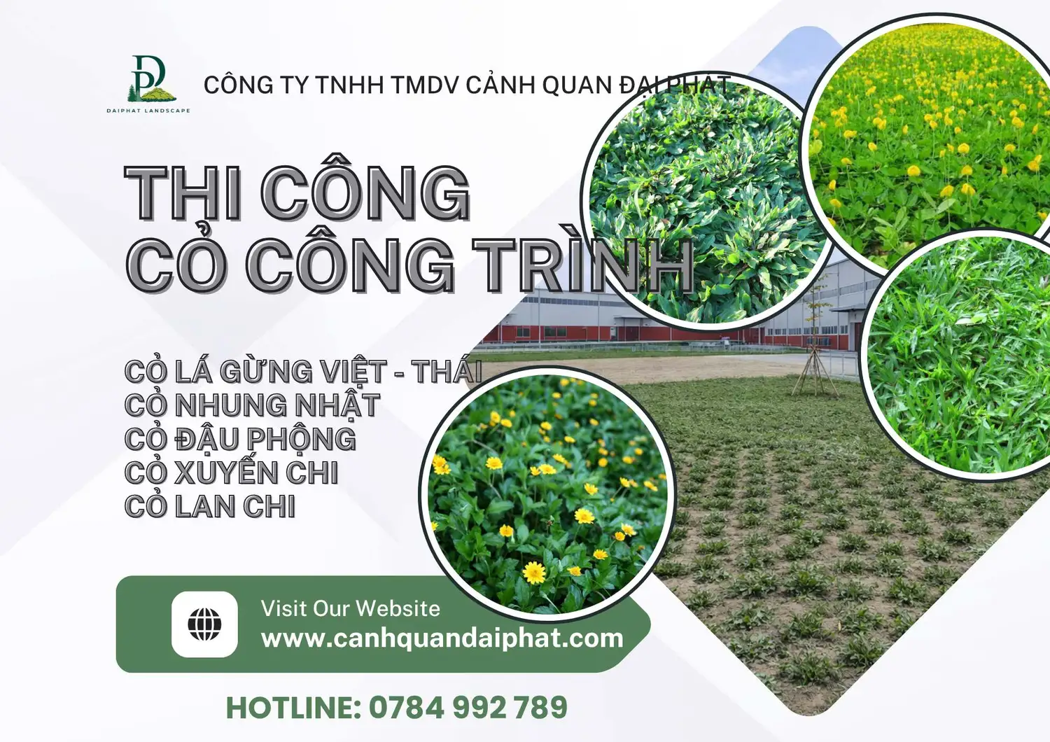 thi công cỏ lá gừng cỏ nhung nhật 170426 2.webp