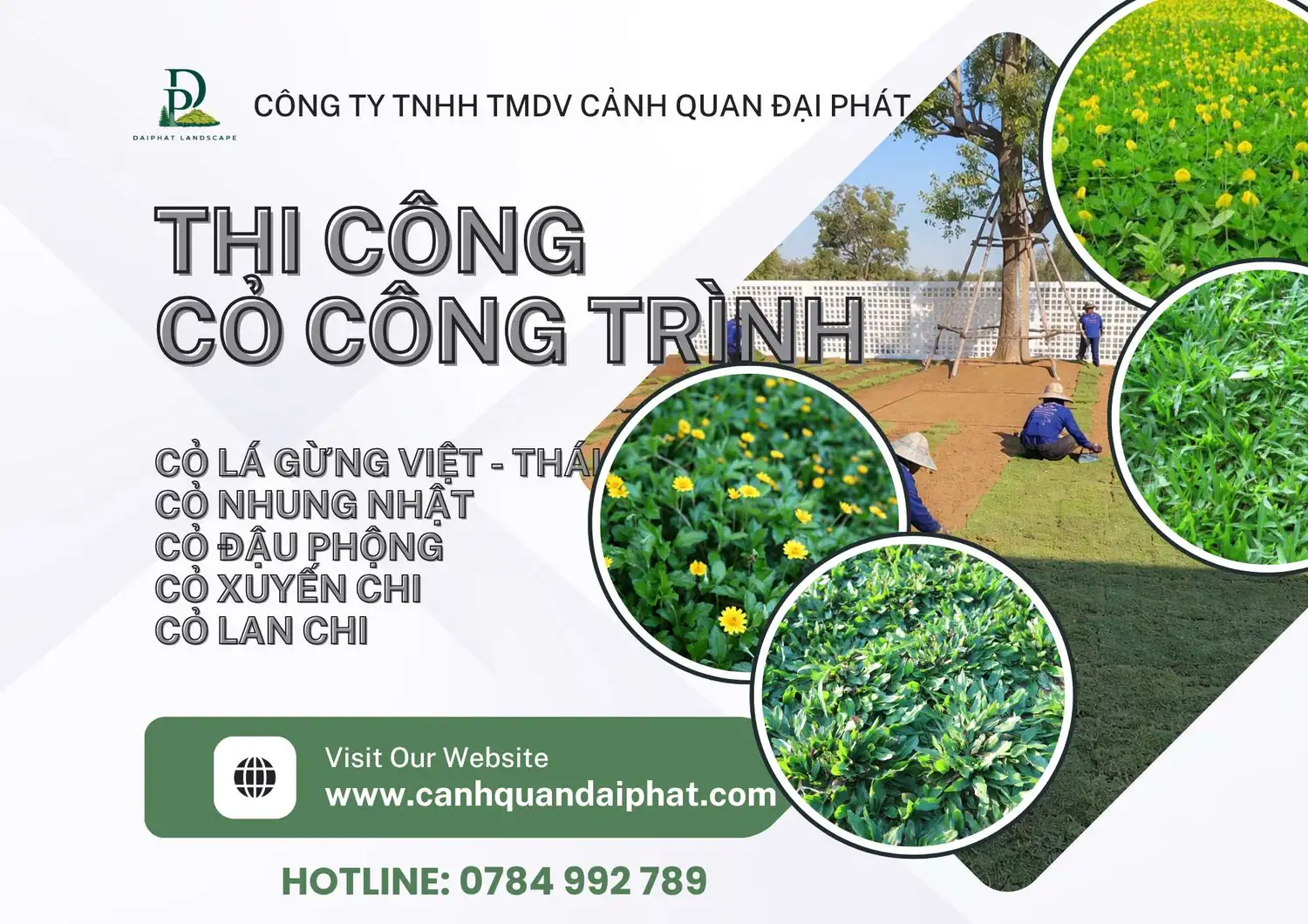 thi công cỏ lá gừng cỏ nhung nhật 170426 3.webp